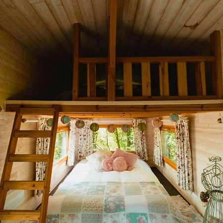 Les 7 Meuses - Restaurant & Hebergements Hoteliers - Insolites - Wellness - Gites Profondeville Ngoại thất bức ảnh